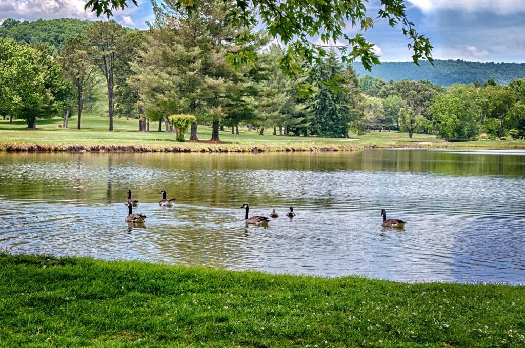 Etowah Valley Golf & Resort Esterno foto